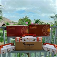 TÌM NHÀ PHÂN PHỐI, ĐẠI LÝ, CTV BÁN NƯỚC CHIẾT TRÙNG THẢO FUCOIDAN