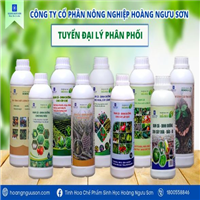 Tìm đại lý, nhà phân phối CHẾ PHẨM SINH HỌC HỮU CƠ