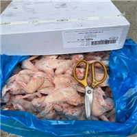 Tìm đại lý, nhà phân phối Cánh gà nguyên chiếc