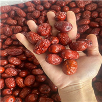 Tìm đại lý, nhà phân phối táo đỏ, Óc chó