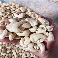 Tìm đại lý, nhà phân phối Hạt Điều