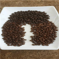Tìm đại lý, nhà phân phối Caphe Hạt Robusta Honey
