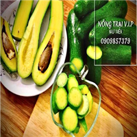 Tìm đại lý, nhà phân phối Nông Sản Lâm Đồng