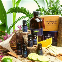 Tìm đại lý, nhà phân phối Tinh Dầu Caroline
