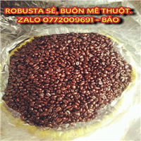 CÀ PHÊ RANG PHA PHIN/VỢT TRUYỀN THỐNG SỈ VÀ LẺ