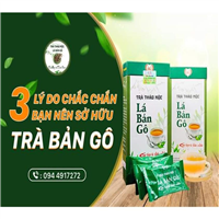 TRÀ TÚI LỌC - LÁ BẢN GÔ ( BỔ GAN) - ĐẶC SẢN QUẢNG BÌNH CẦN TÌM ĐẠI LÝ, NHÀ PHÂN PHỐI TOÀN QUỐC- LIÊN HỆ : 0944 91 72 72